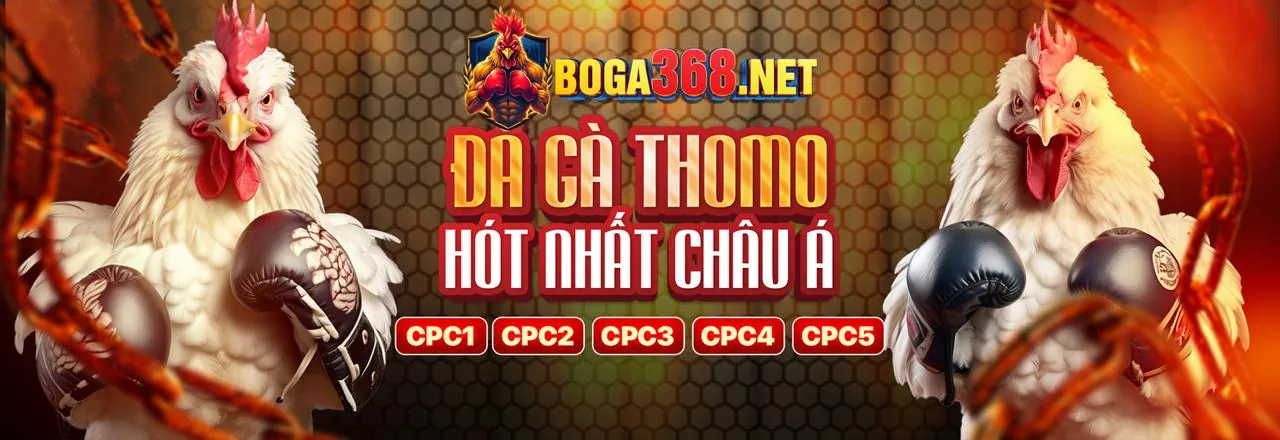 Đá gà trực tuyến kịch tính tại bet28