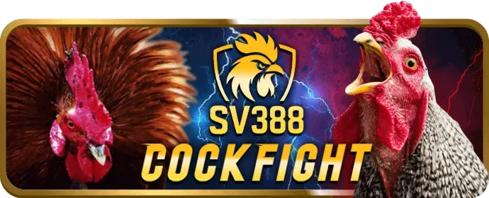 Các chương trình khuyến mãi đá gà bet28